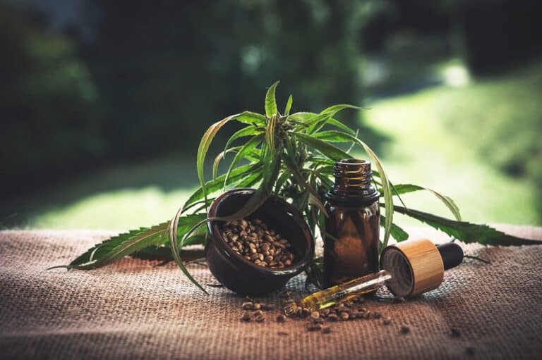 découvrez les bienfaits du cbd, un composé naturel aux propriétés apaisantes et relaxantes. explorez nos produits de qualité, d'huiles aux infusions, pour améliorer votre bien-être au quotidien.