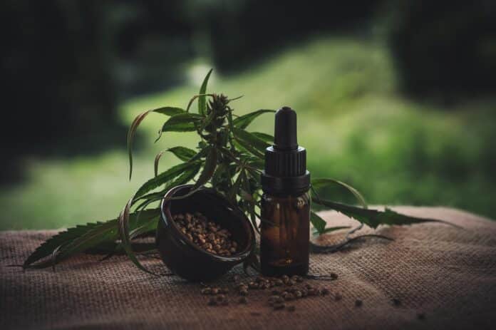 cbd découvrez le cbd : ses bienfaits, ses usages variés et comment il peut améliorer votre bien-être au quotidien. explorez notre sélection de produits de qualité pour une expérience apaisante et naturelle.