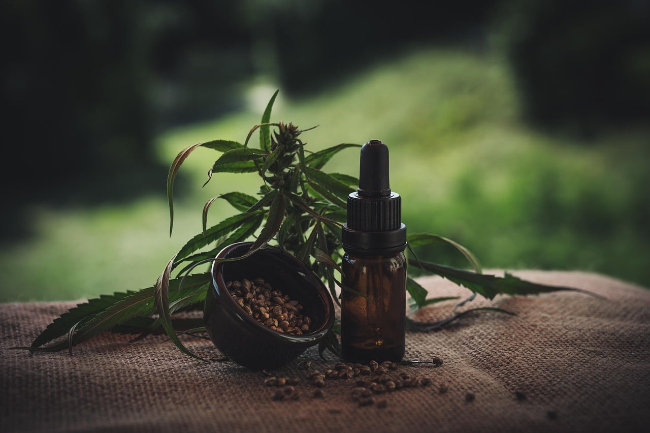 découvrez le monde du cbd : bienfaits, utilisations et conseils pour intégrer le cannabidiol dans votre quotidien. explorez nos produits de qualité, apprenez les différences entre les variétés et trouvez des solutions naturelles pour votre bien-être.
