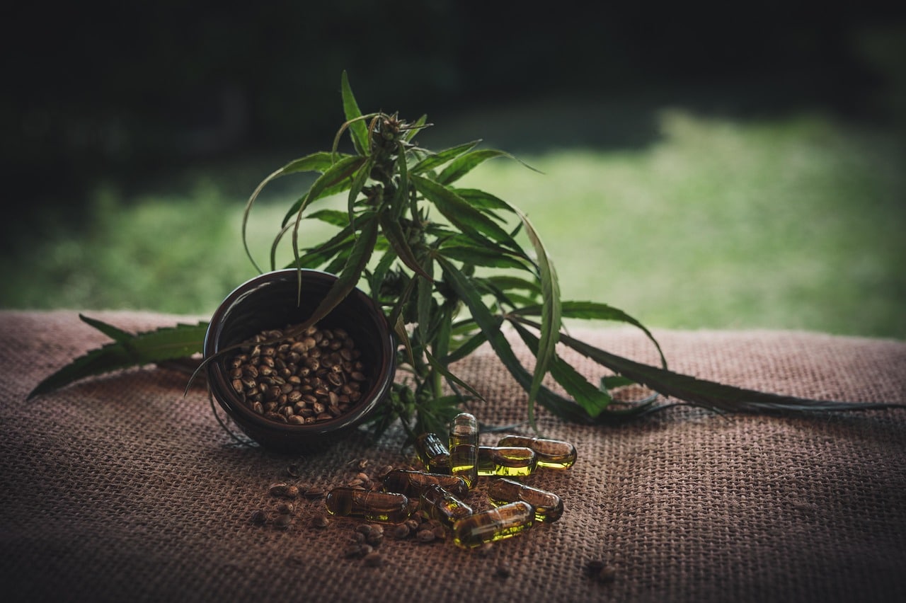 découvrez le cbd, ses bienfaits naturels et ses nombreuses applications. explorez notre sélection de produits à base de cannabidiol pour améliorer votre bien-être au quotidien.