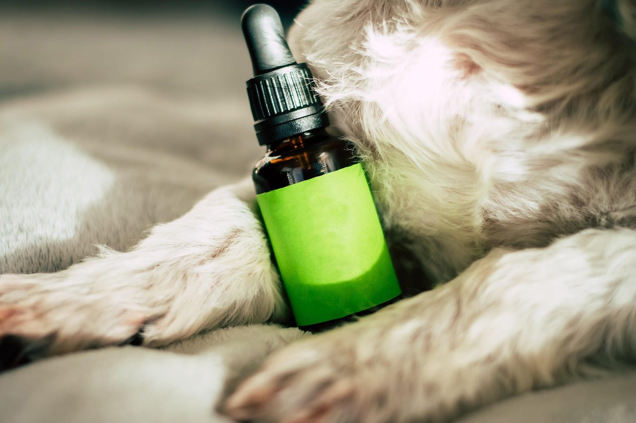 découvrez les bienfaits du cbd : un extrait naturel de chanvre, reconnu pour ses propriétés apaisantes et thérapeutiques. explorez nos produits de qualité pour favoriser votre bien-être au quotidien.