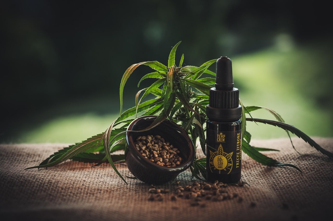 découvrez tout ce que vous devez savoir sur la consommation de cbd : les méthodes, les dosages, les bienfaits potentiels et les recommandations pour une utilisation optimale. plongez dans l'univers du cbd et améliorez votre bien-être naturellement.