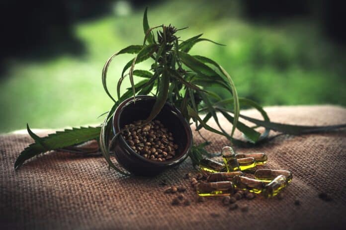 cbd découvrez le cbd : ses bienfaits, ses usages et les meilleures pratiques pour l'intégrer dans votre quotidien. informez-vous sur les produits à base de cannabidiol et leur impact sur votre bien-être.