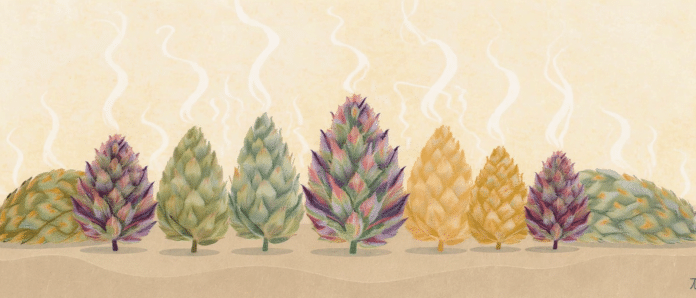 découvrez le top 10 des variétés de cbd incontournables à savourer en inhalation pour une expérience relaxante et authentique. explorez les meilleures saveurs et leurs bienfaits uniques.